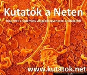 1378217_634061323313220_786796338_n