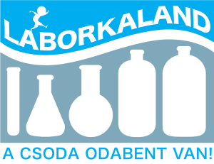 logo grey blue with text